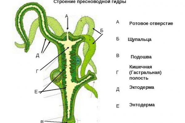 Кракен зеркало 2025