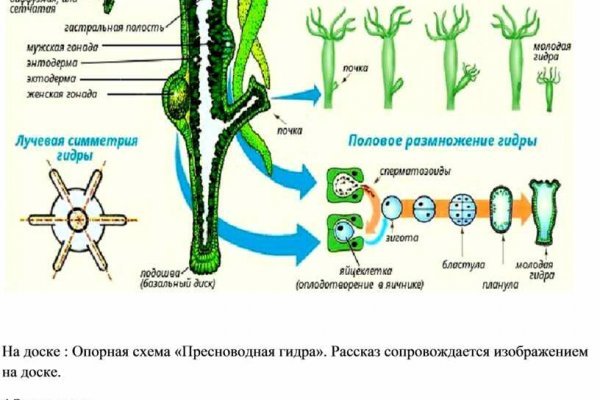 Почему кракен перестал работать