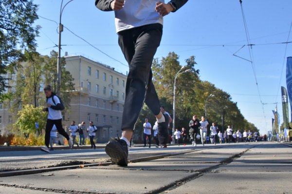 Значок кракена маркетплейса