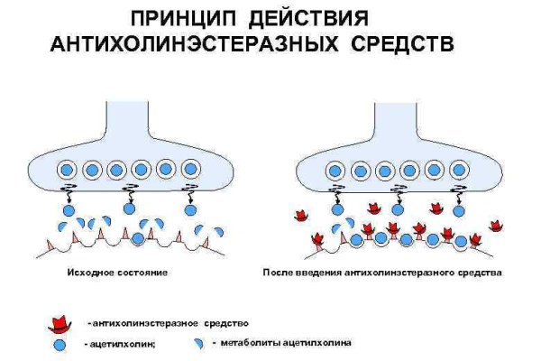 Наркосайт кракен